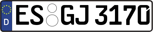 ES-GJ3170