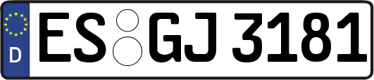 ES-GJ3181