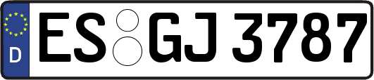 ES-GJ3787