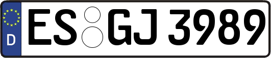 ES-GJ3989
