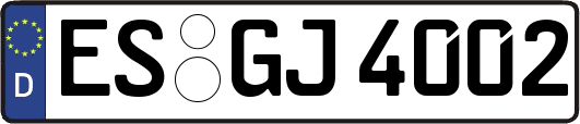 ES-GJ4002