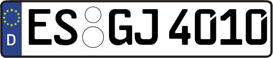 ES-GJ4010