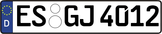 ES-GJ4012