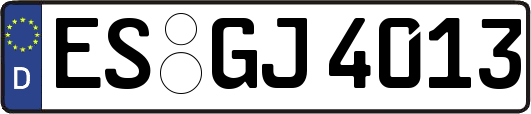 ES-GJ4013