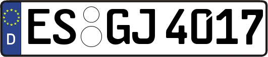 ES-GJ4017
