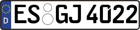 ES-GJ4022