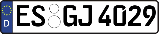 ES-GJ4029