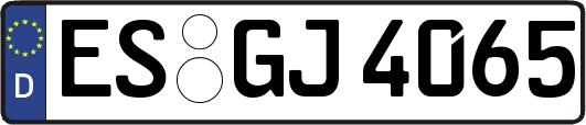 ES-GJ4065