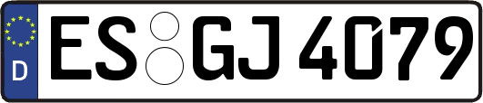 ES-GJ4079