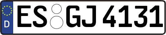 ES-GJ4131