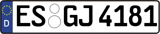 ES-GJ4181