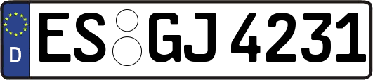 ES-GJ4231