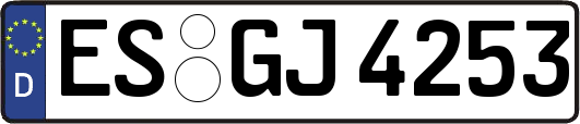 ES-GJ4253