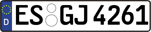 ES-GJ4261