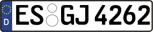 ES-GJ4262