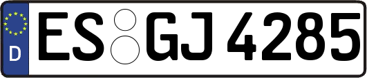 ES-GJ4285