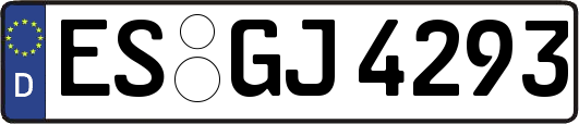 ES-GJ4293