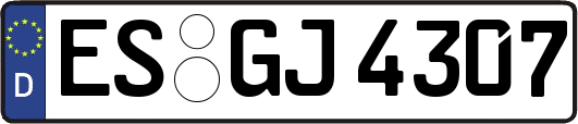 ES-GJ4307