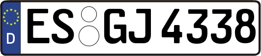ES-GJ4338