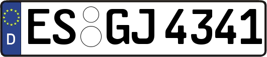 ES-GJ4341