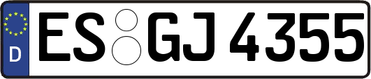ES-GJ4355
