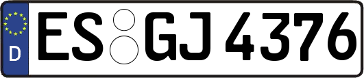 ES-GJ4376