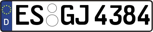 ES-GJ4384