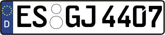 ES-GJ4407