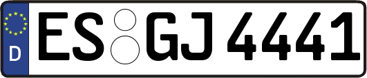 ES-GJ4441