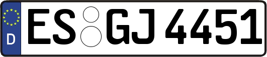 ES-GJ4451