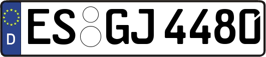 ES-GJ4480