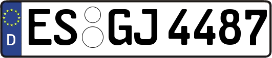 ES-GJ4487