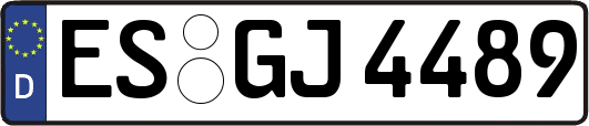 ES-GJ4489
