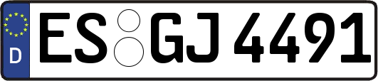 ES-GJ4491