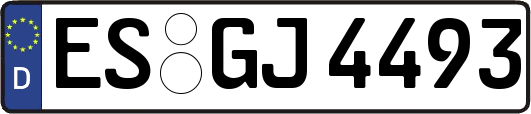 ES-GJ4493
