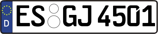 ES-GJ4501