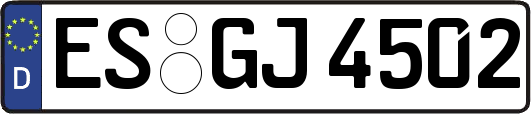 ES-GJ4502