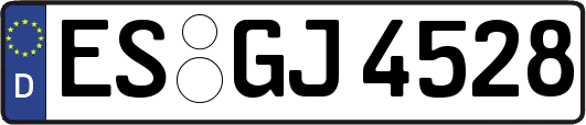 ES-GJ4528