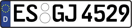 ES-GJ4529