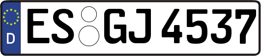 ES-GJ4537