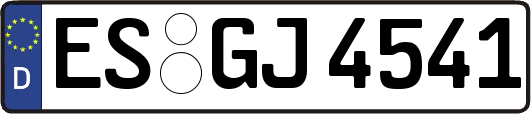 ES-GJ4541