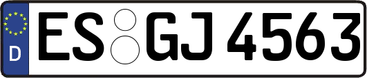 ES-GJ4563