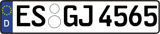 ES-GJ4565