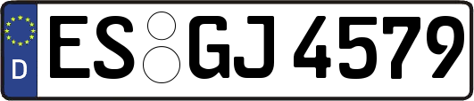 ES-GJ4579