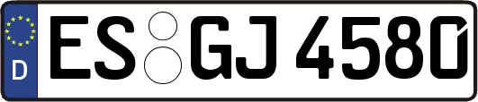 ES-GJ4580