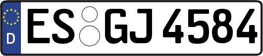 ES-GJ4584