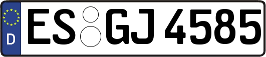 ES-GJ4585