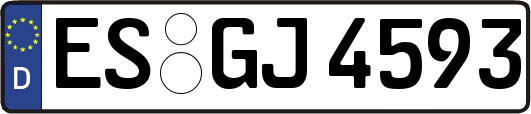ES-GJ4593