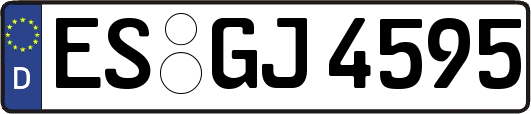 ES-GJ4595
