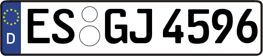 ES-GJ4596